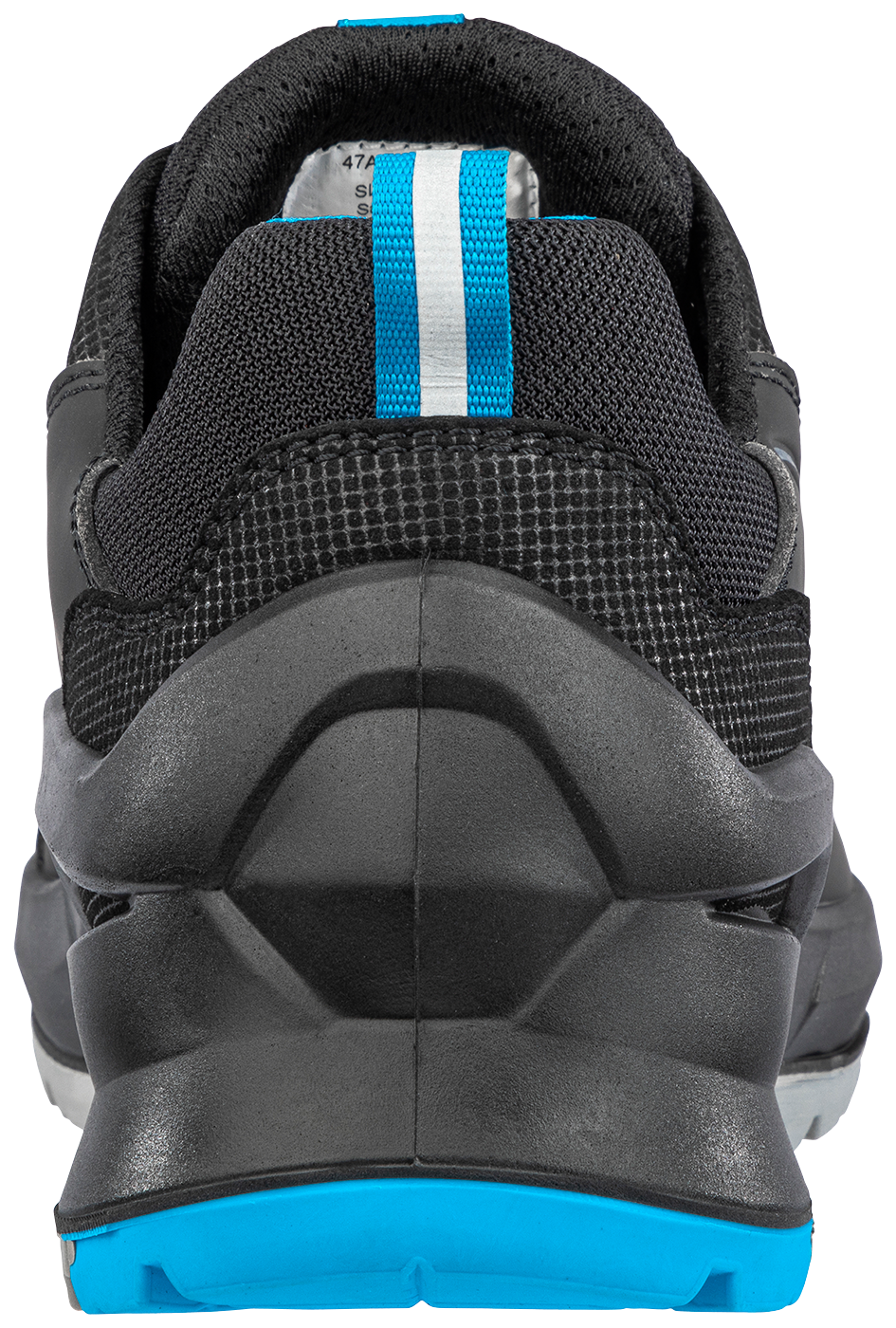 Vernesko Albatros Taraval